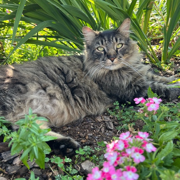 Meet your Posher, Kimberly - Picture 3 of 6